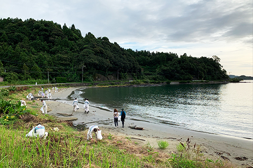 海岸清掃の作業風景